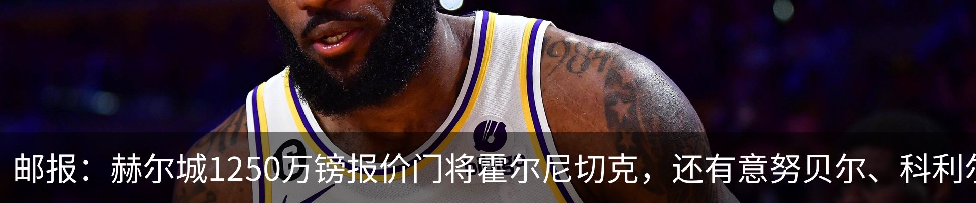 新闻动态